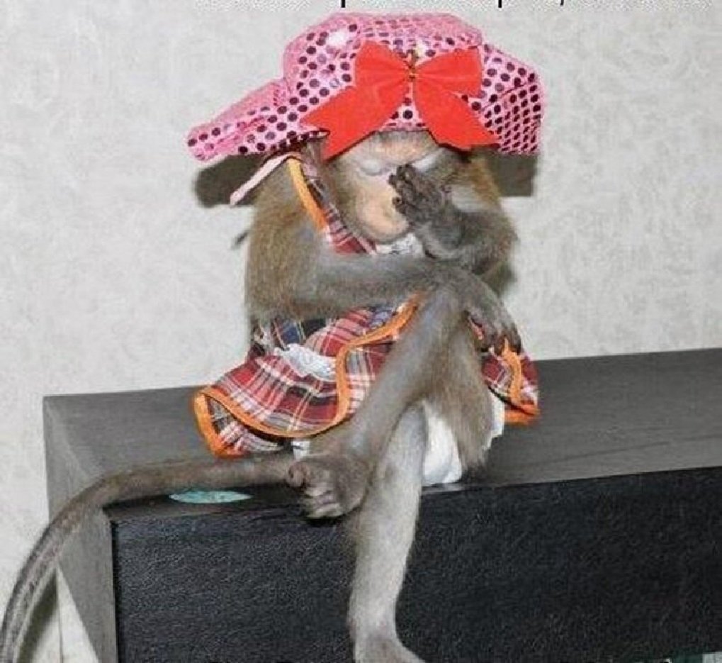 Вы опять все выходные пили