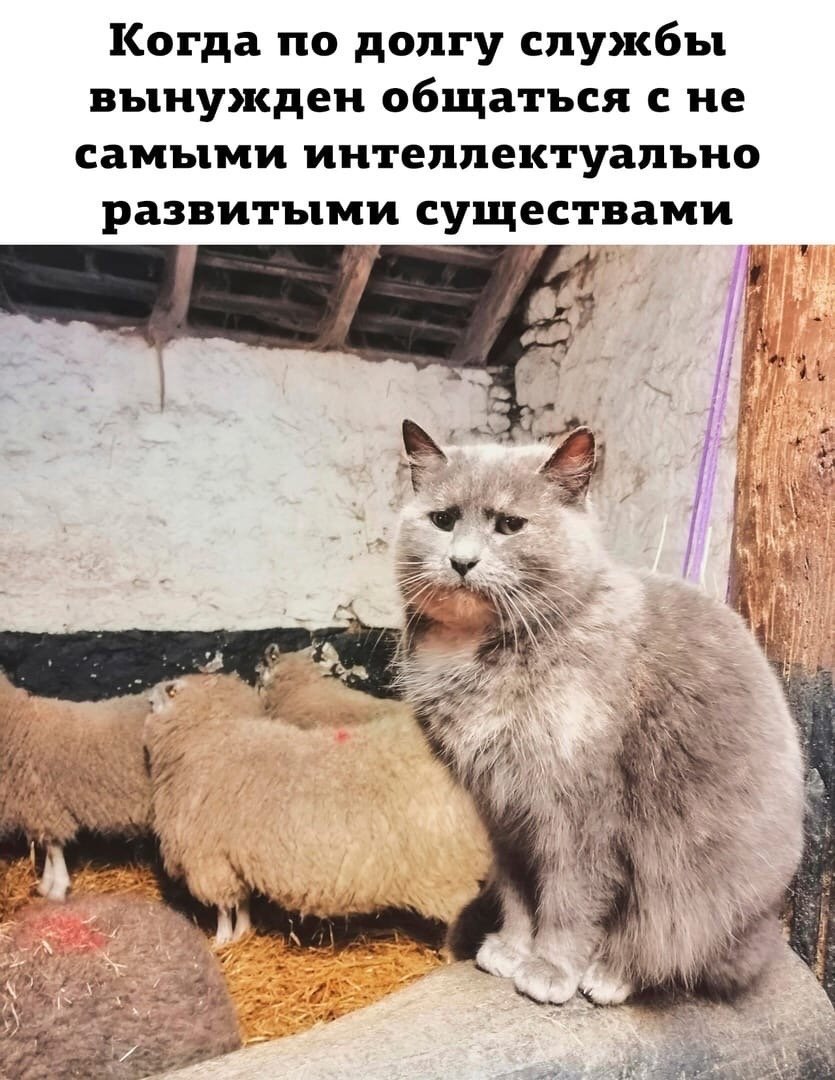 Послепрпздников на работу приколы