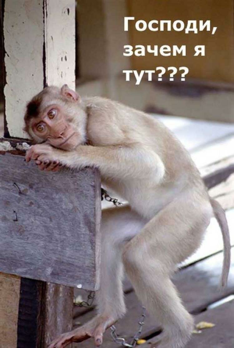 Юмор про работу