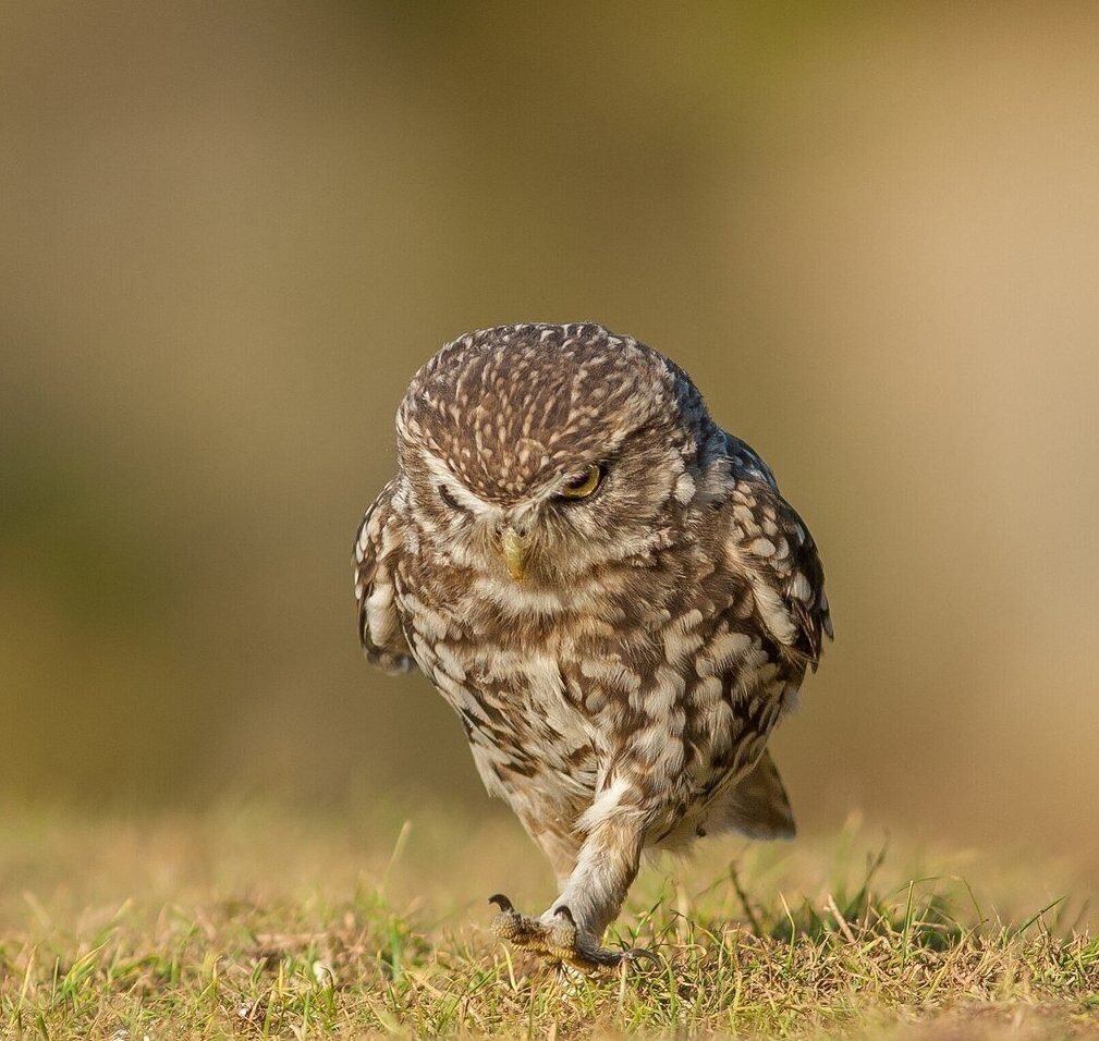 Иду на работу приколы