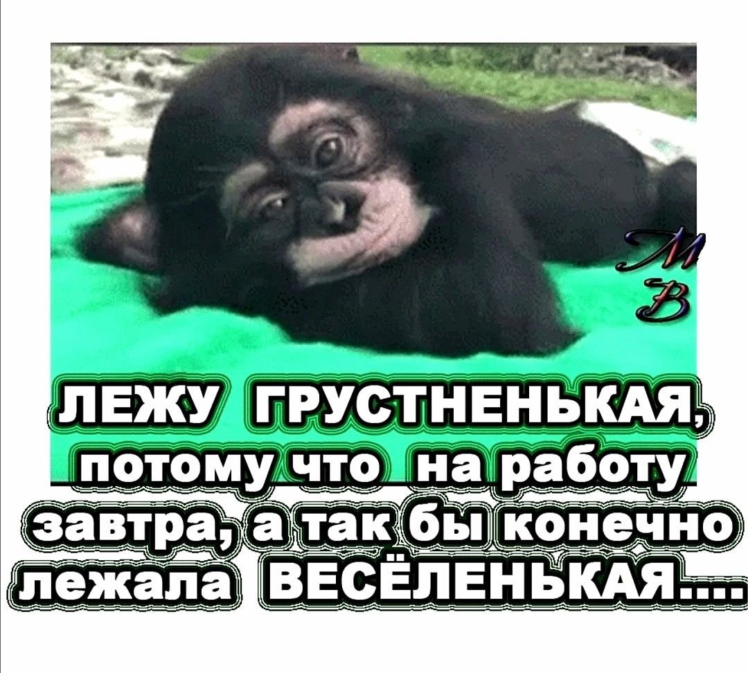 Заяц плачет