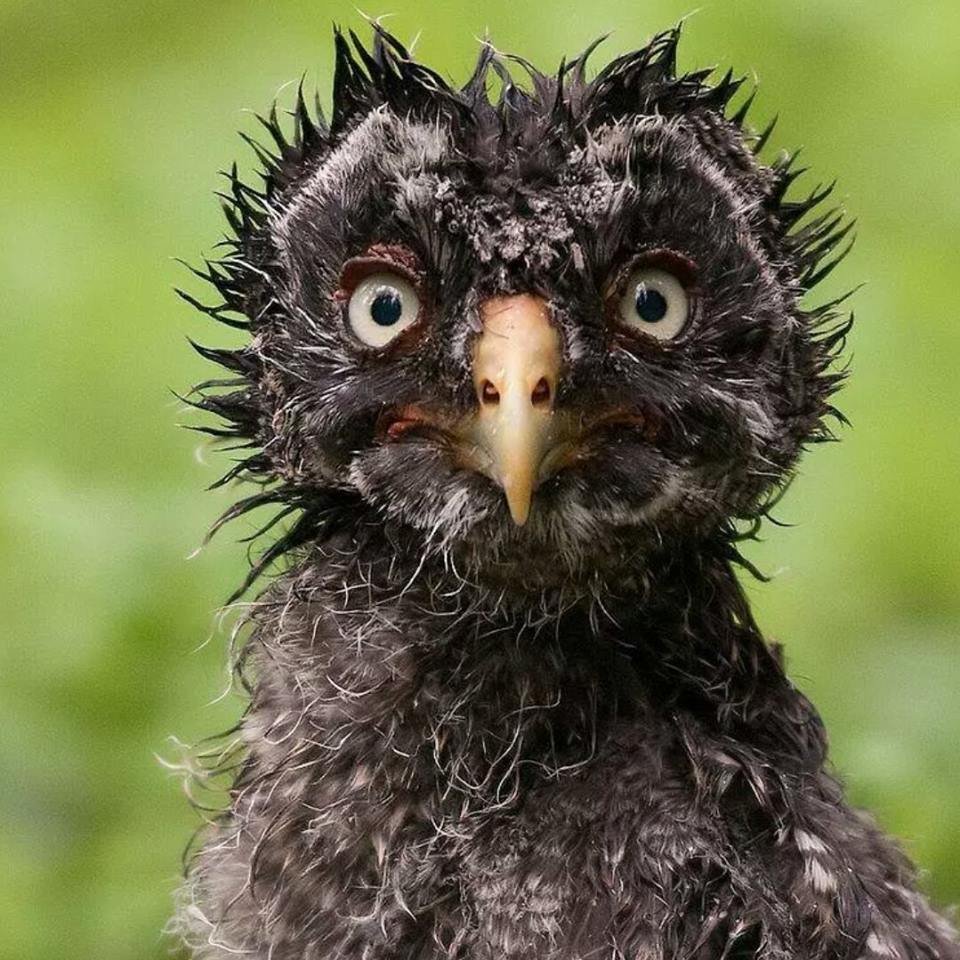 Приколы не хочу на работу