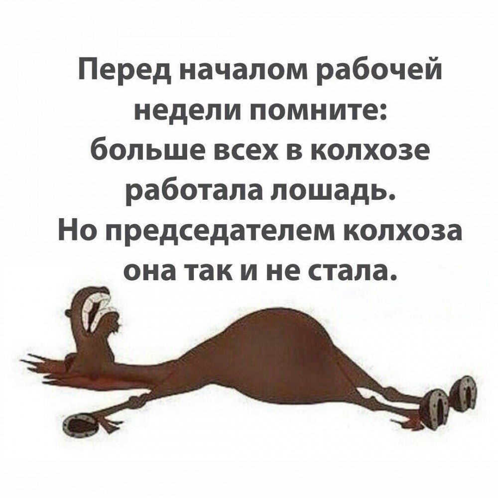 Цитаты про работу смешные