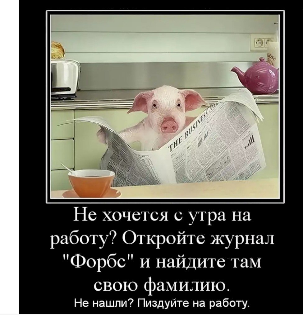 Утренние мемы с котами