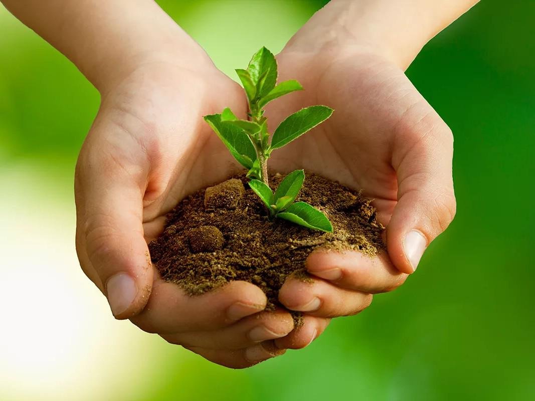 Окружающая среда