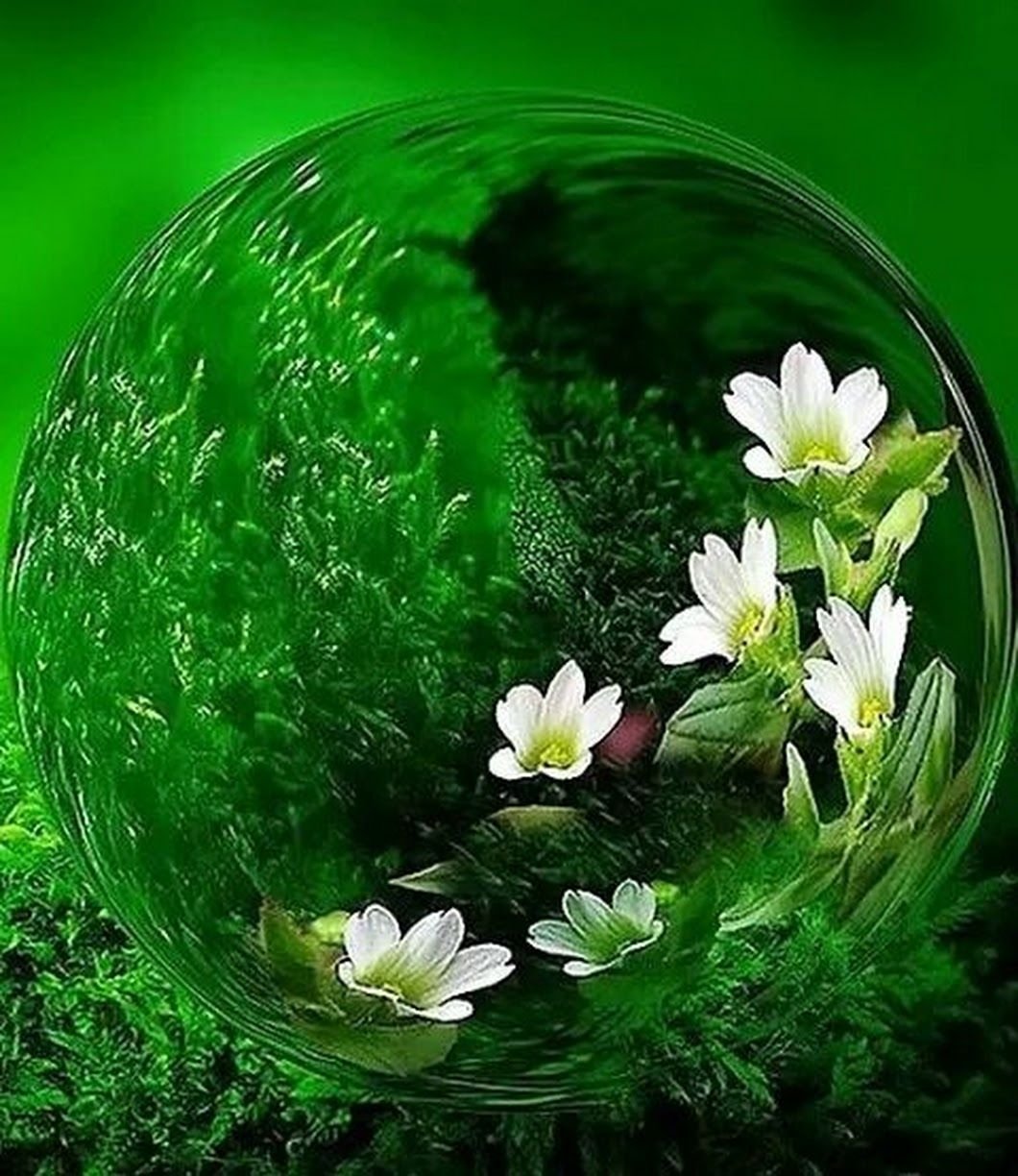 Пожелания с добрым утром четверг