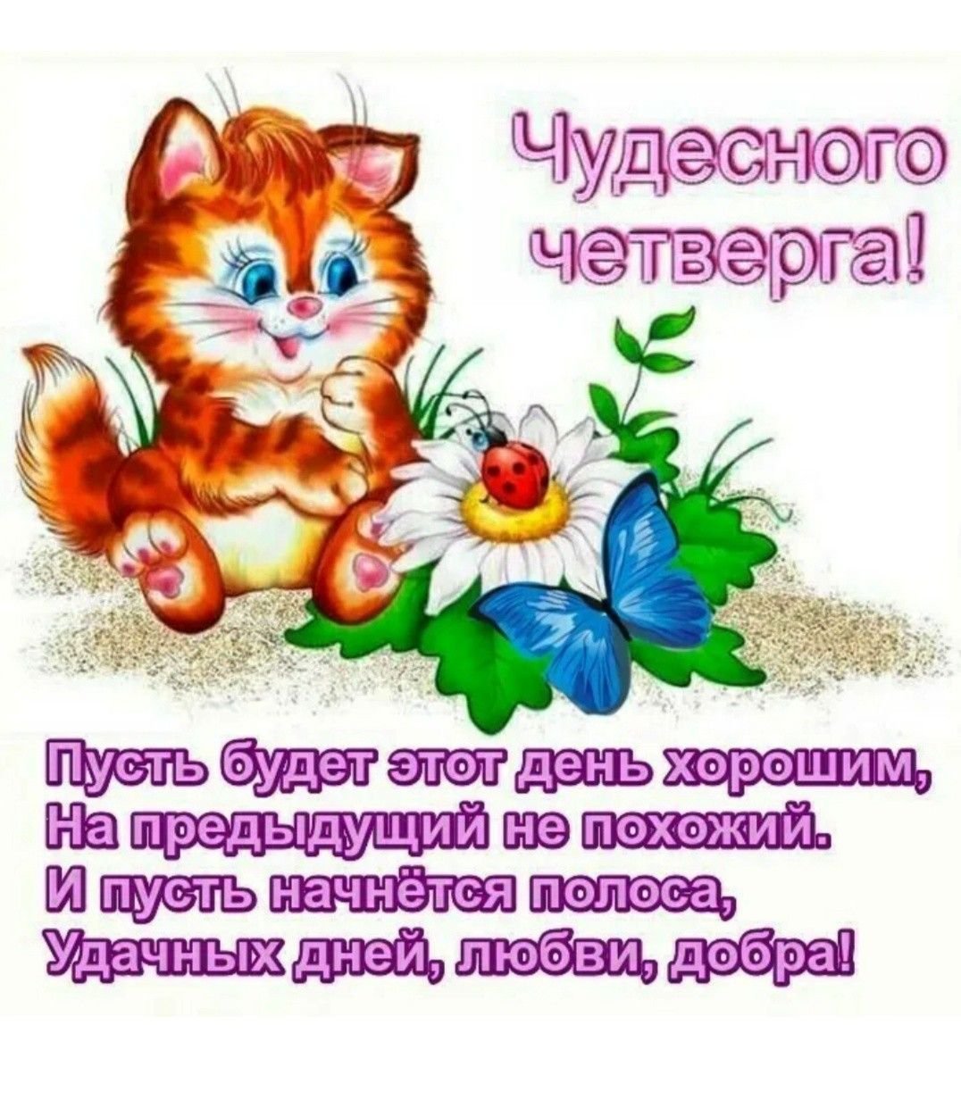 Хорошего четверга и отличного настроения