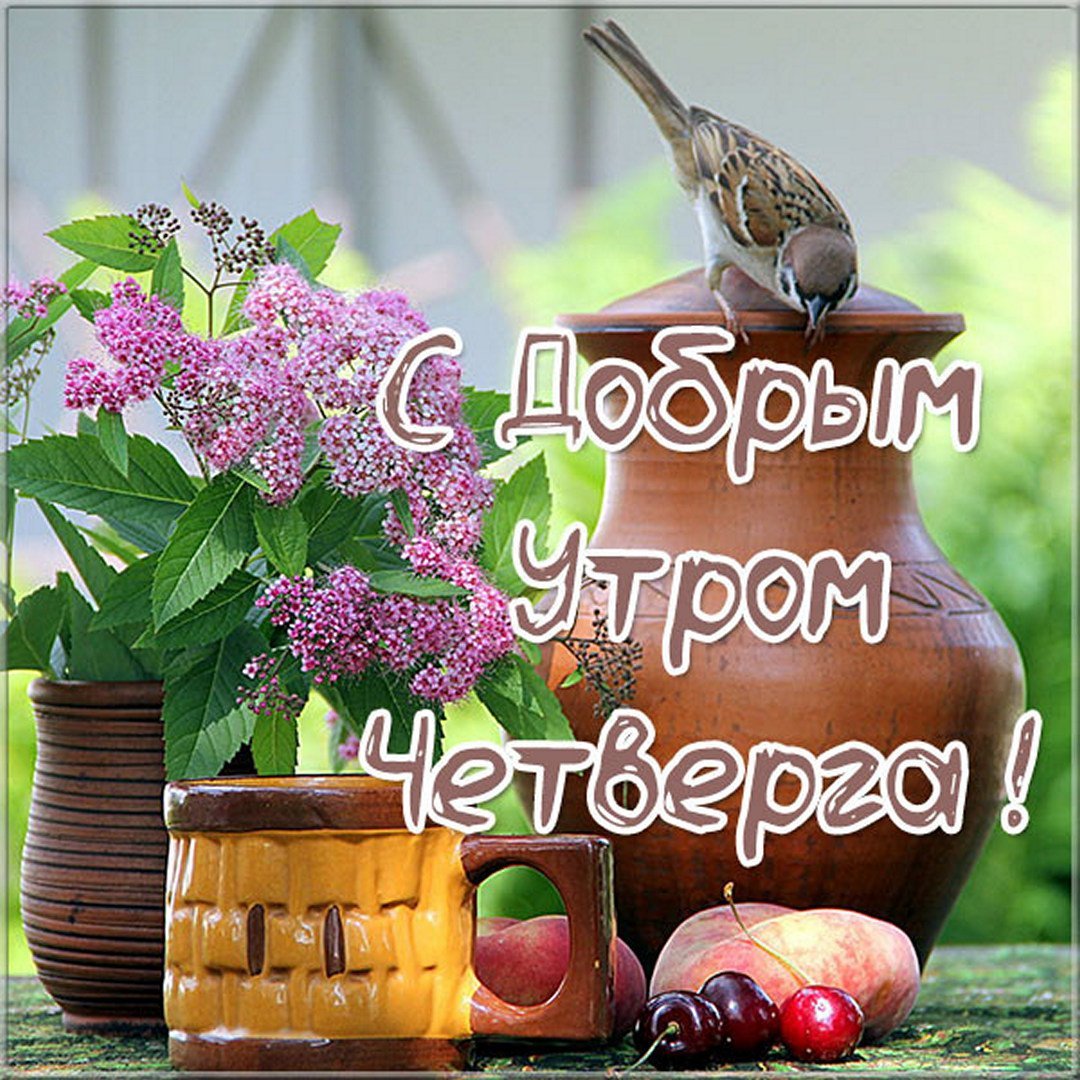 Хорошего четверга и отличного настроения