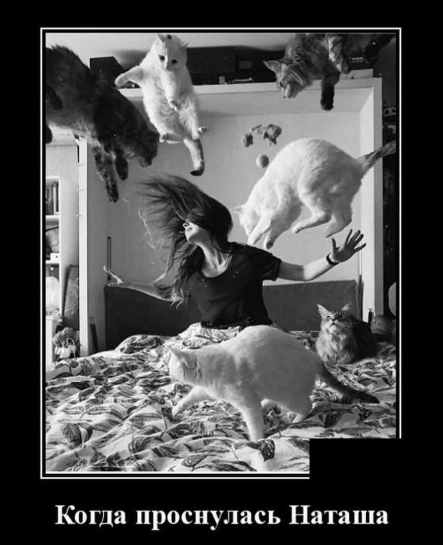 Проспал демотиватор