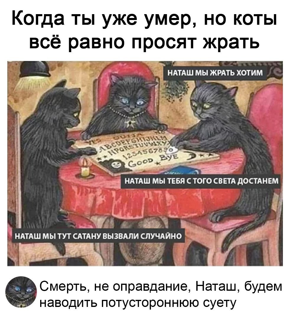 Наташа Восстань коты