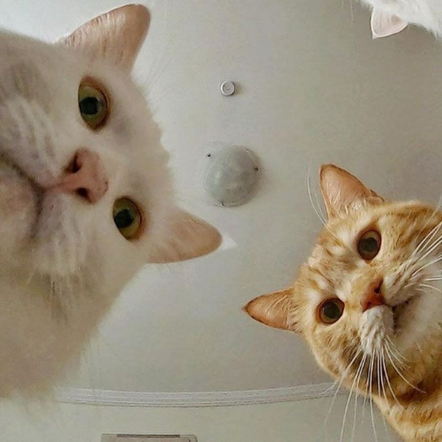 Спать картинки