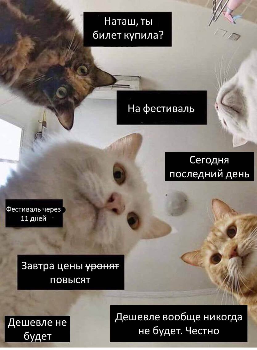 Мемы с котами и Наташей