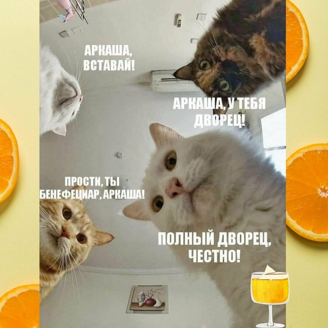 Анекдоты про собак смешные