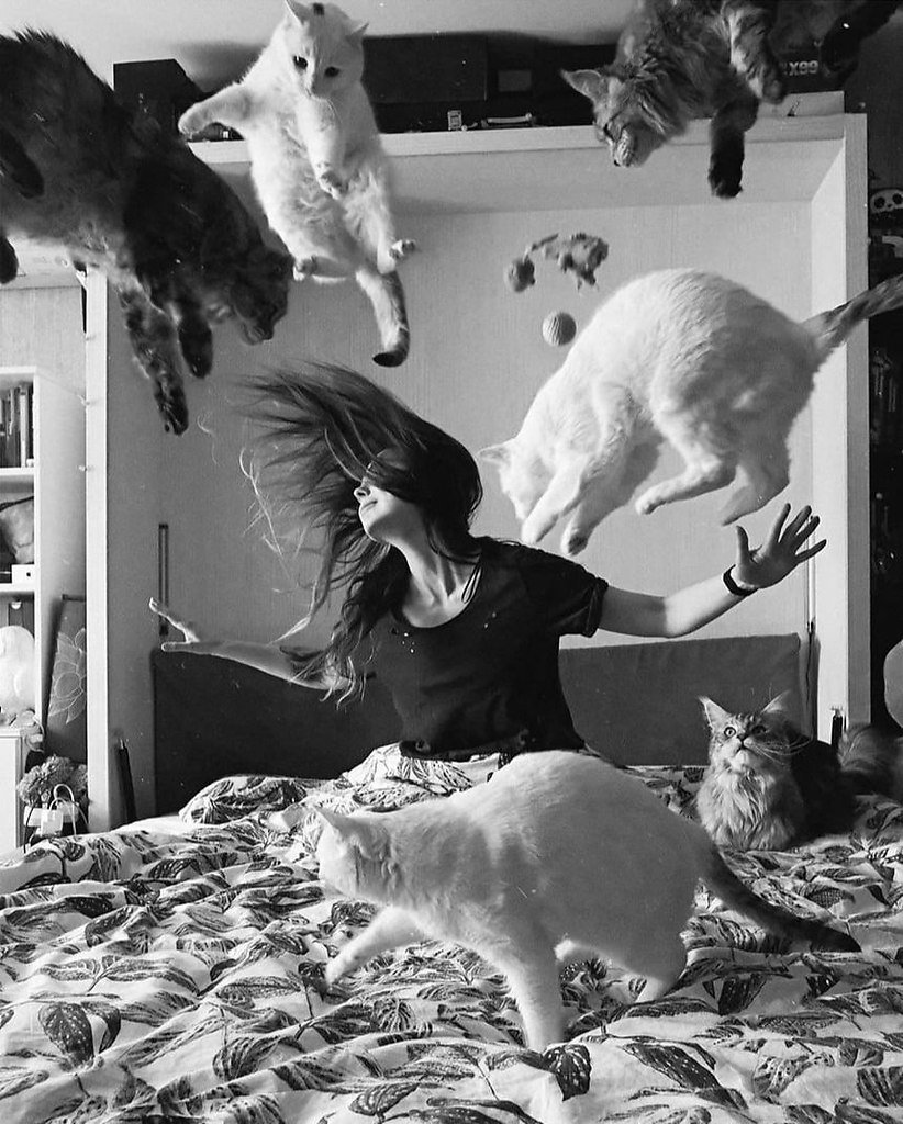 Наташ это Могильный беспредел