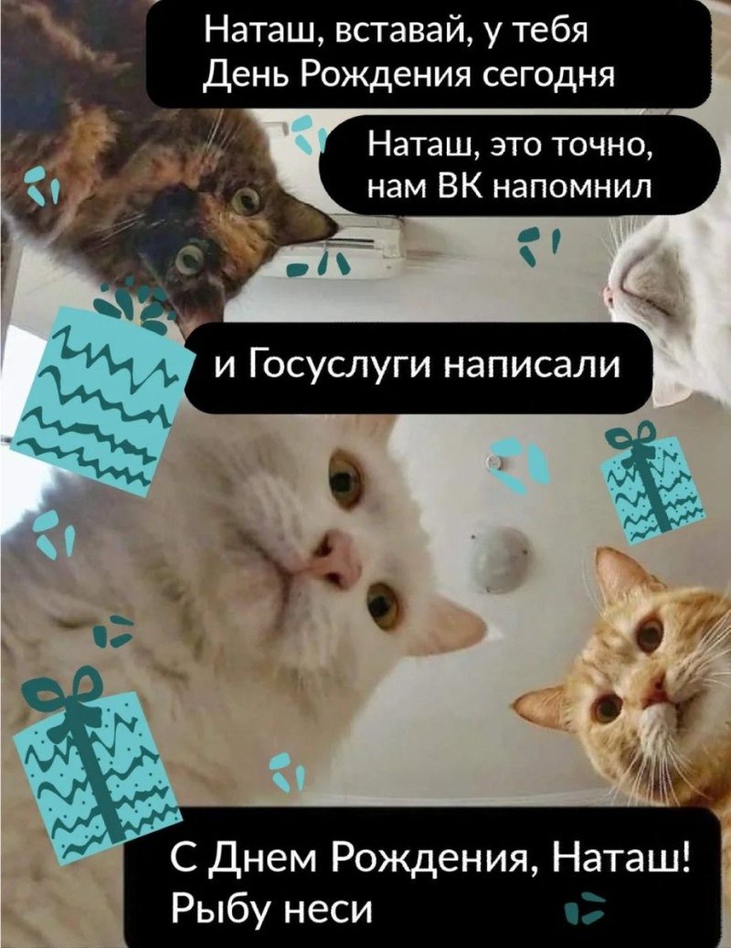 Наташа с днём рождения коты