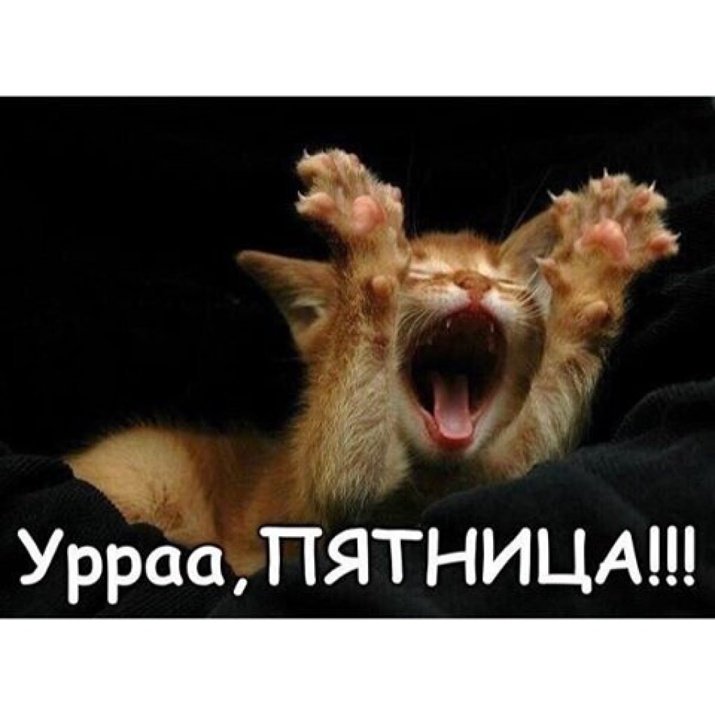 Ура долгожданный отпуск