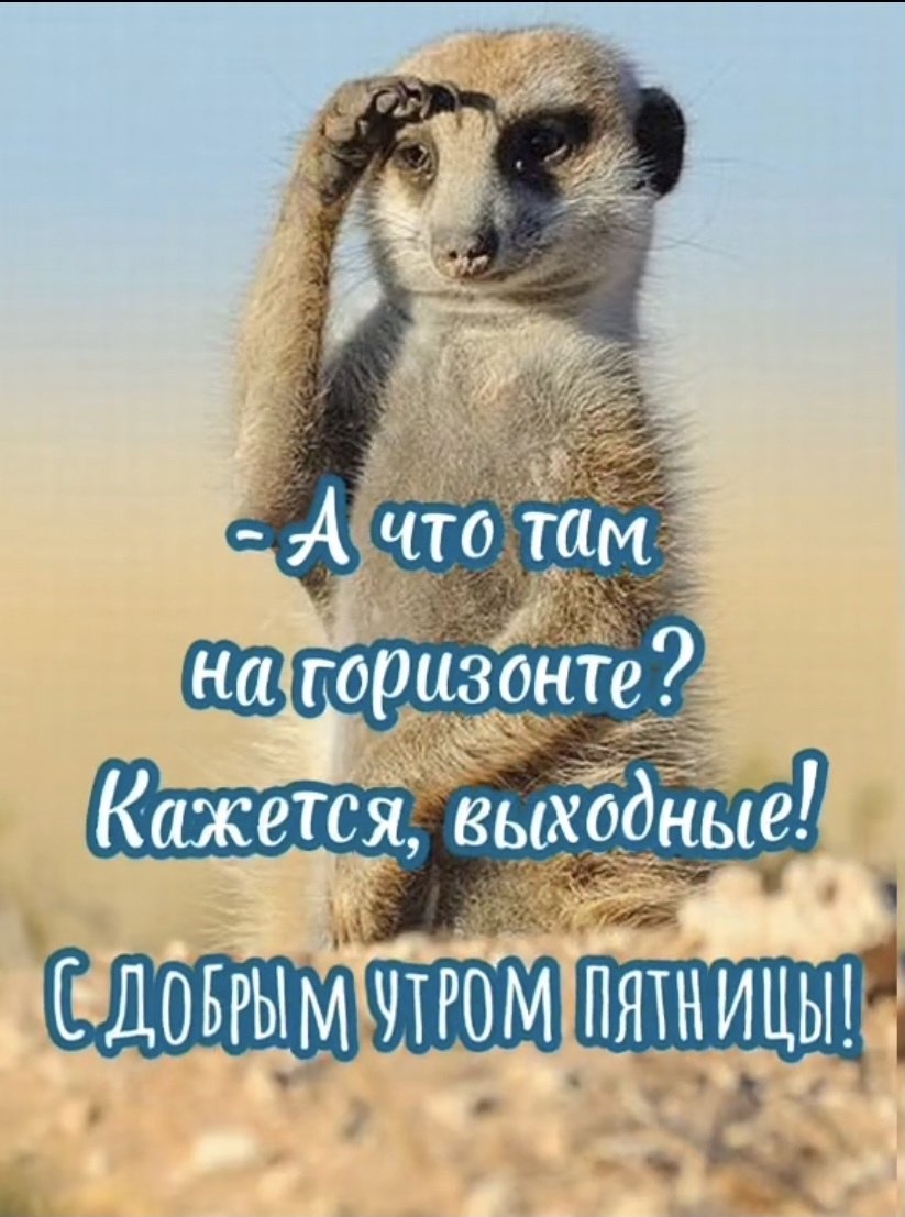 Доброе утречко прикольные