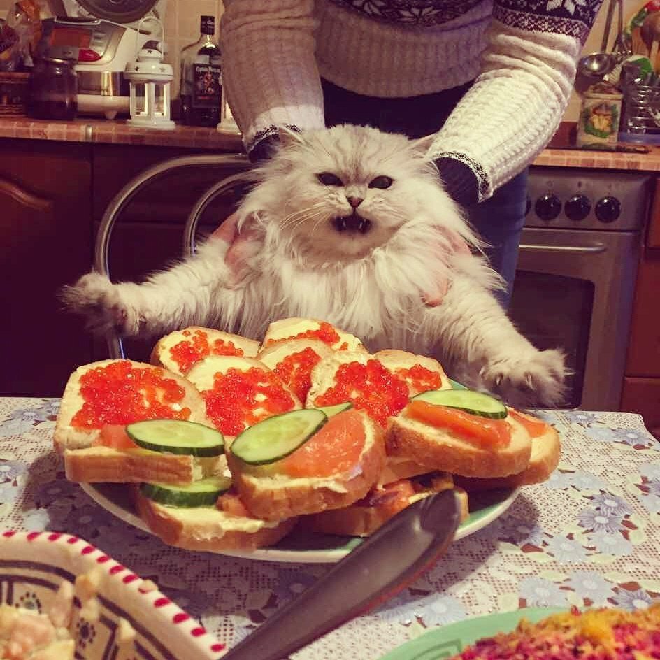 Завтрак съешь сам обед подели с другом