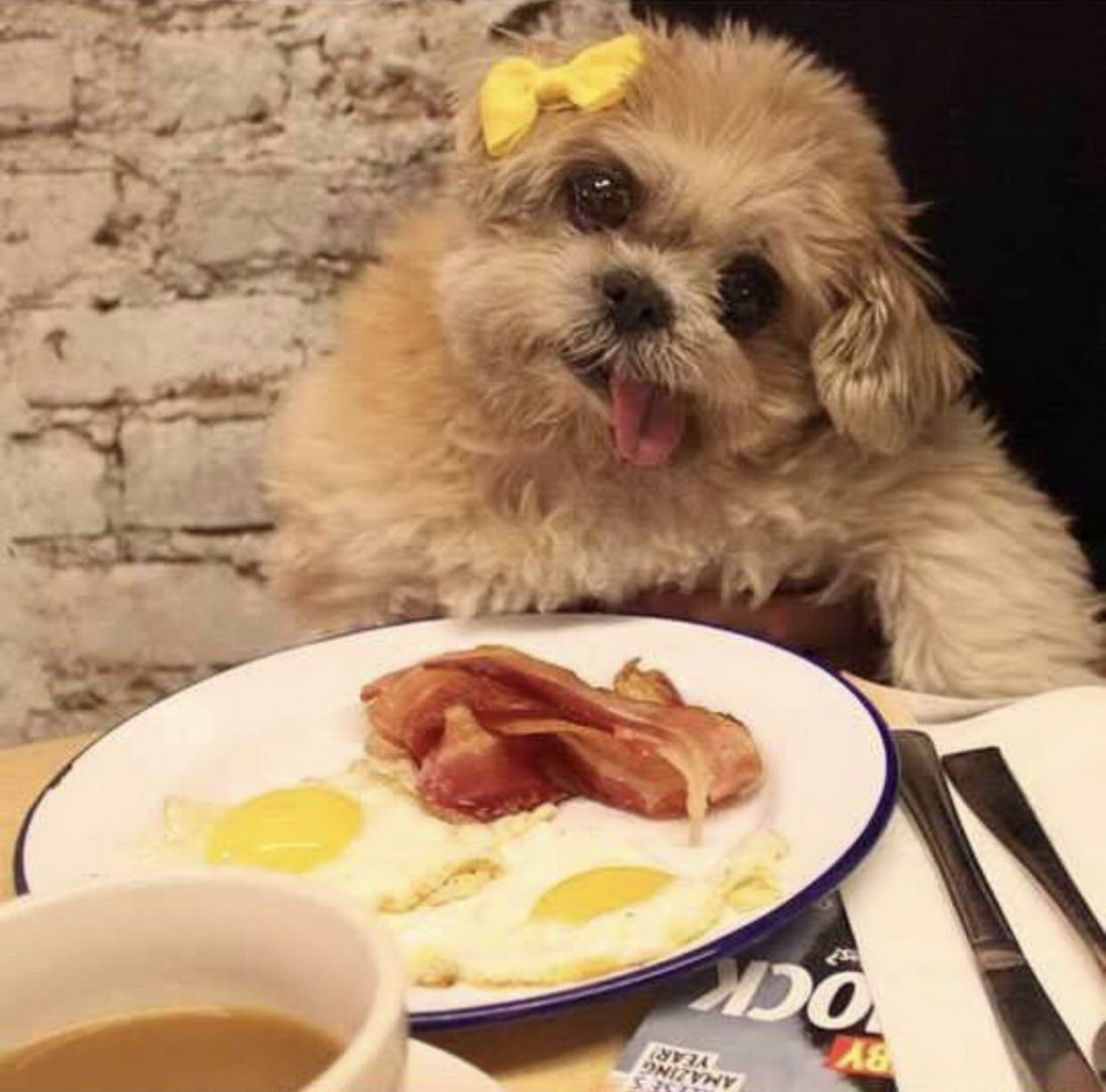 Добрый обед