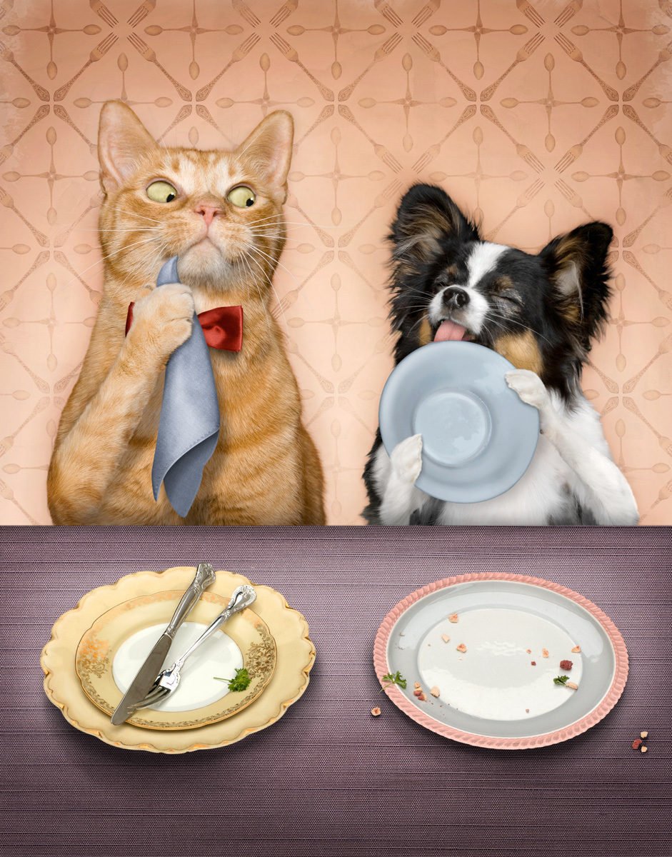 Приятного аппетита коь