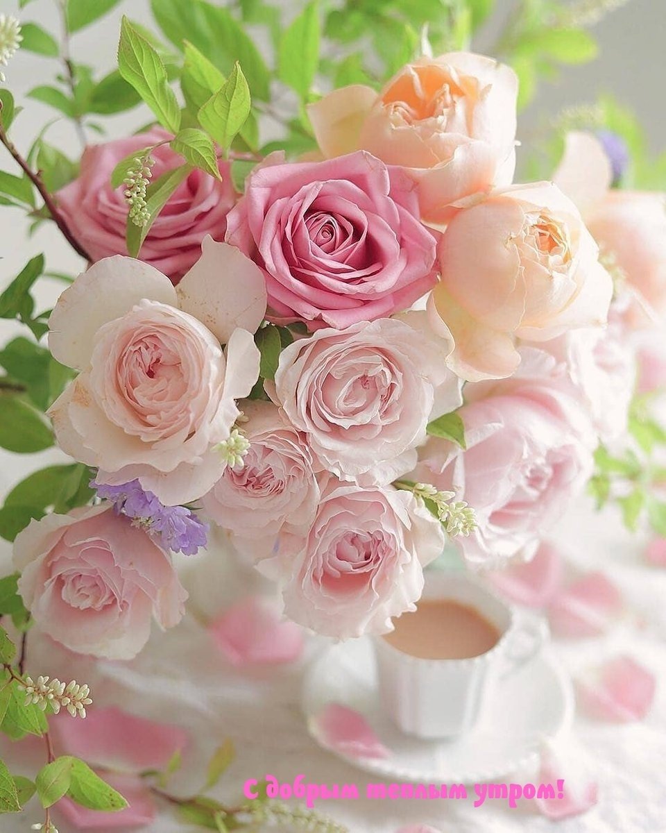 Доброе утро цветы