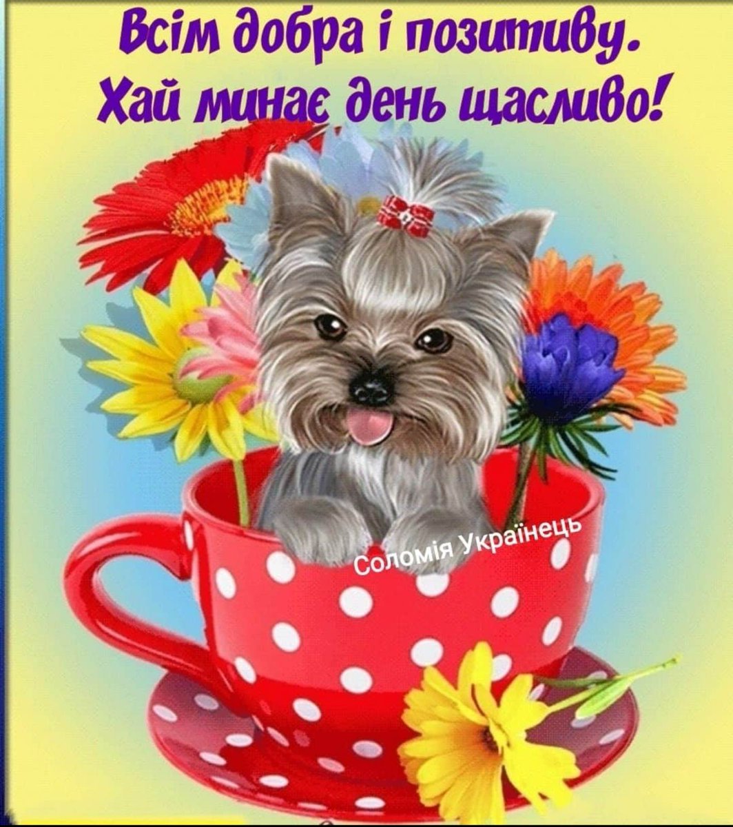 Хороший день