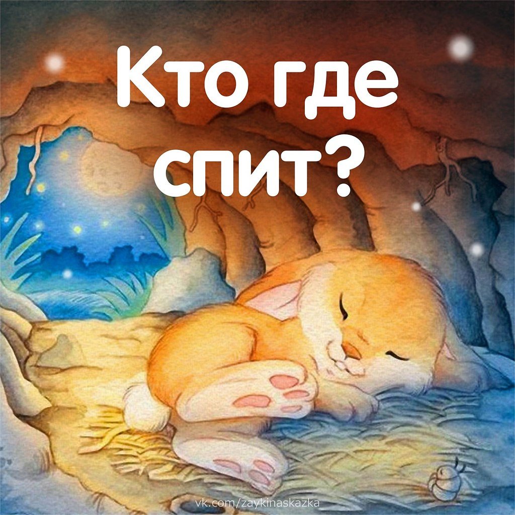 Зайчик спит зимой