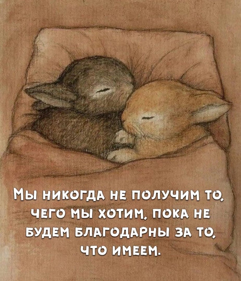 Зайчик спит