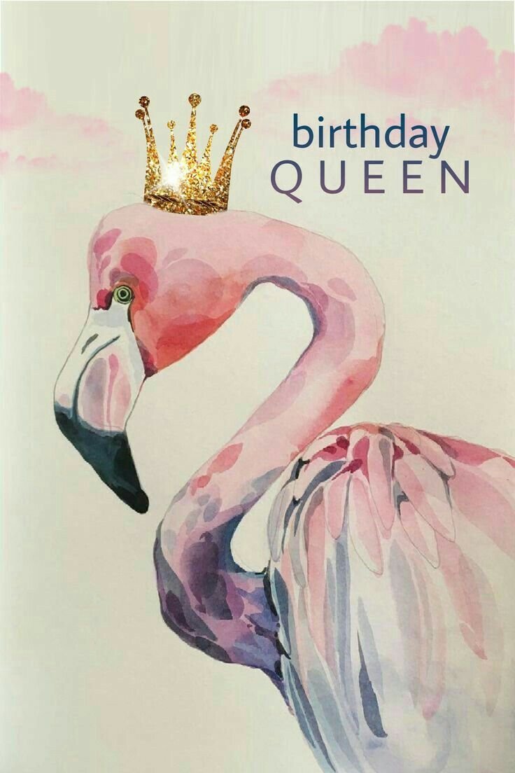 Открытка с Фламинго