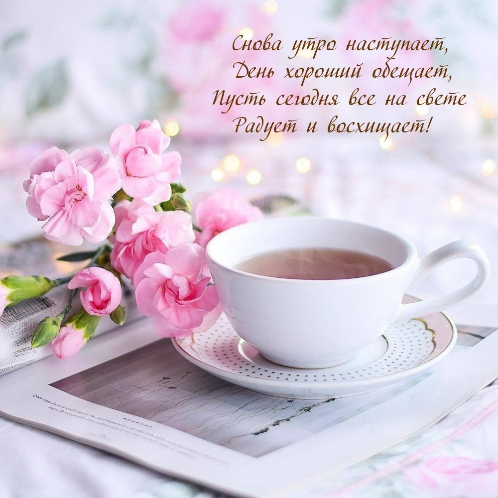 Светлого утра