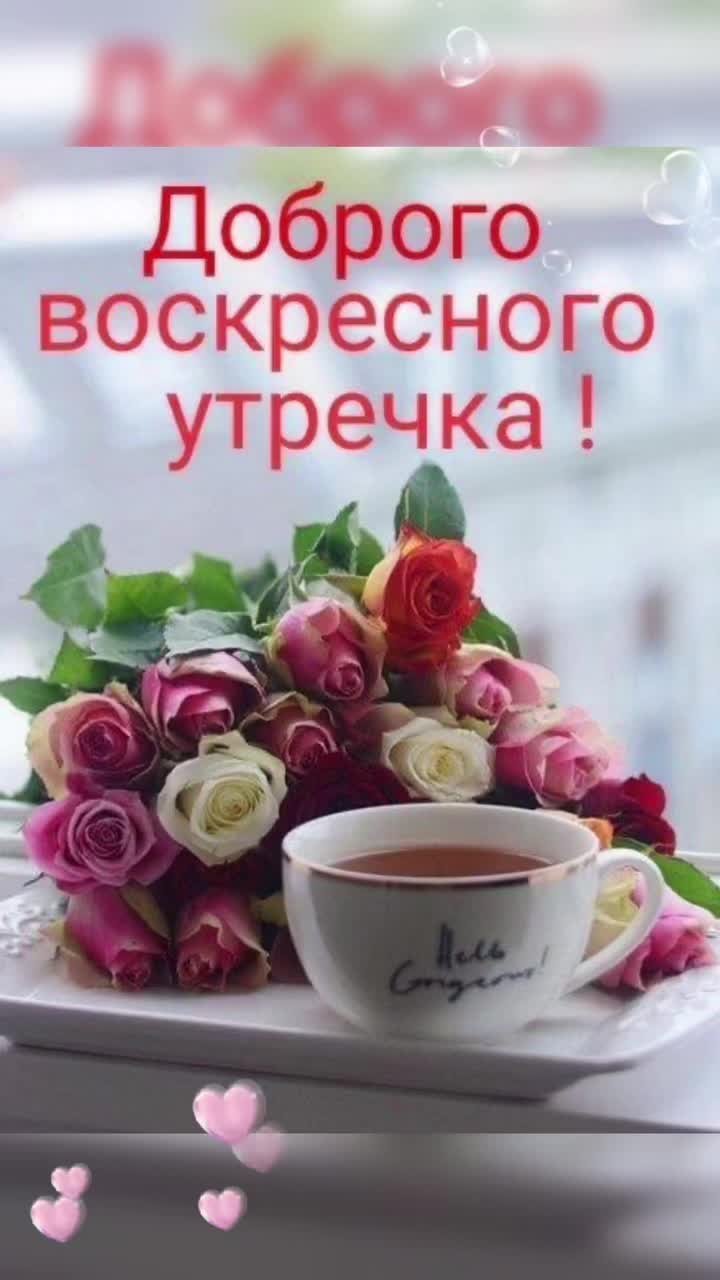 Доброго утра и хорошеготнастроения