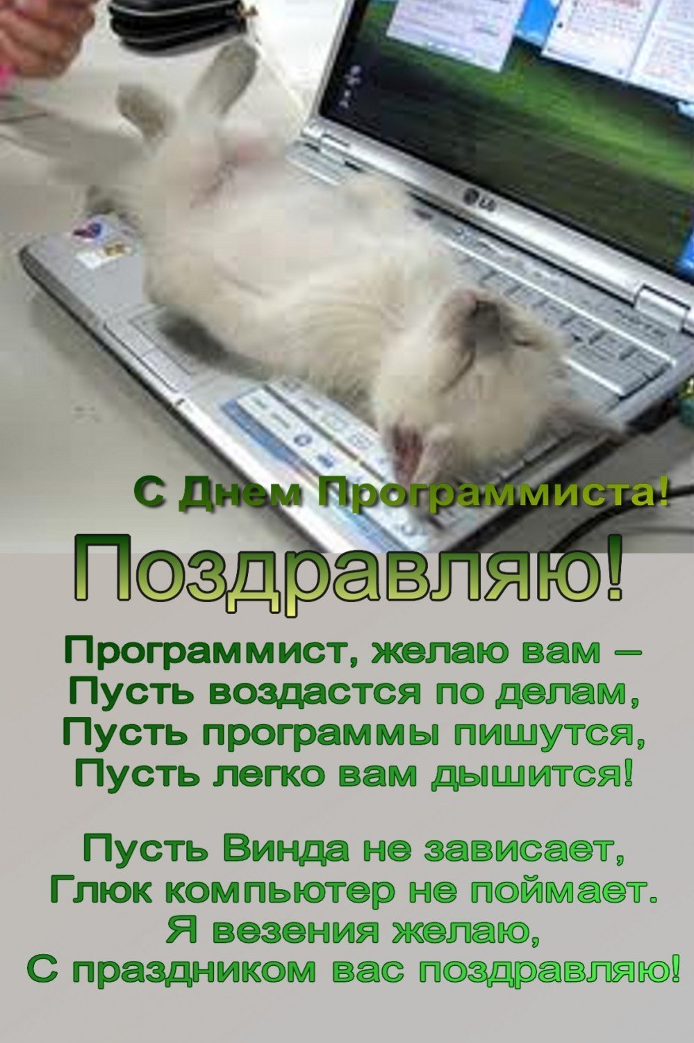 Валентинка для программиста