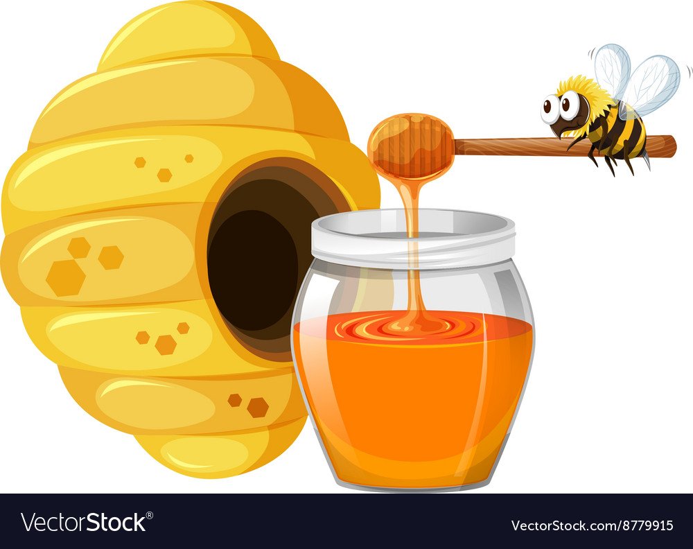 мед мультяшный картинки