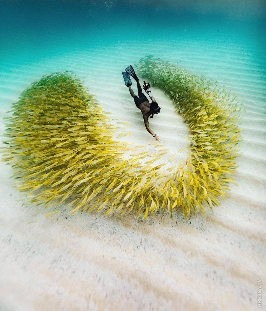 Позитивные мотиваторы для поднятия