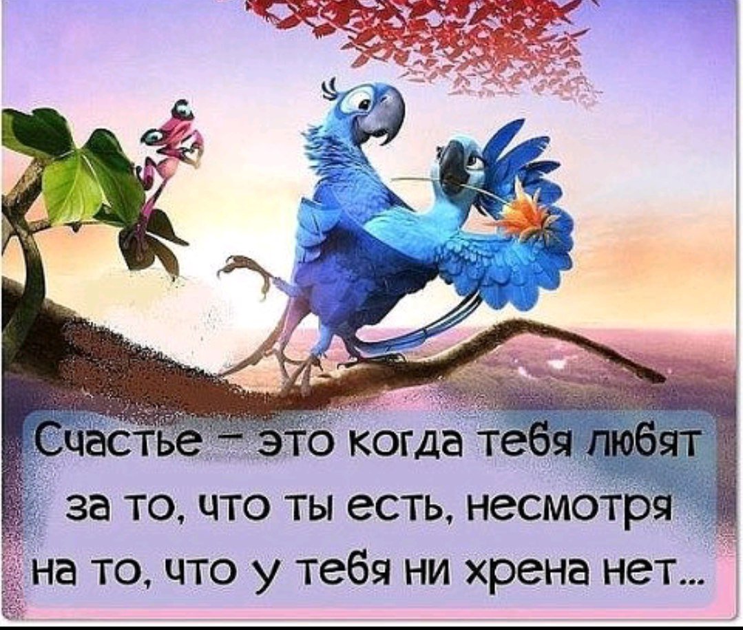 Позитивные цитаты