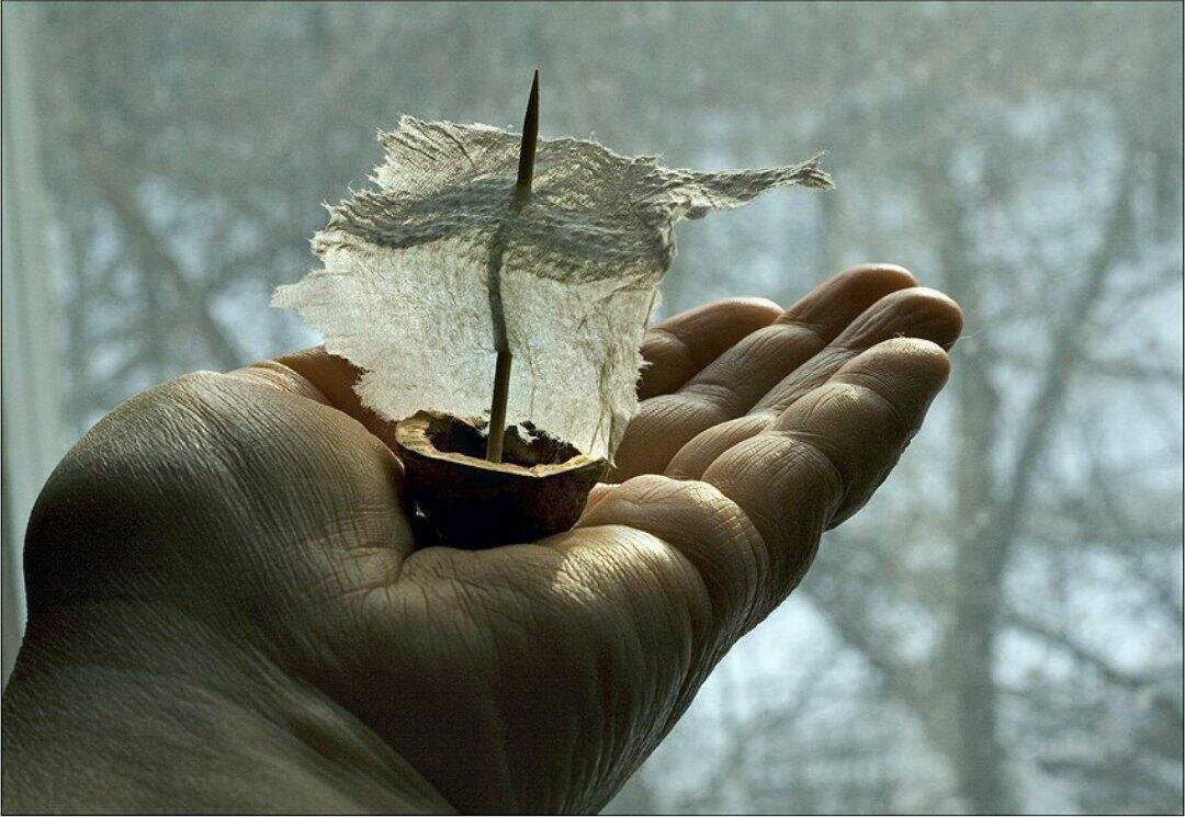 Позитивные цитаты