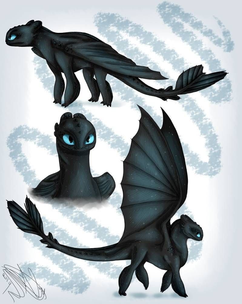 Драконы Беззубик и дневная фурия