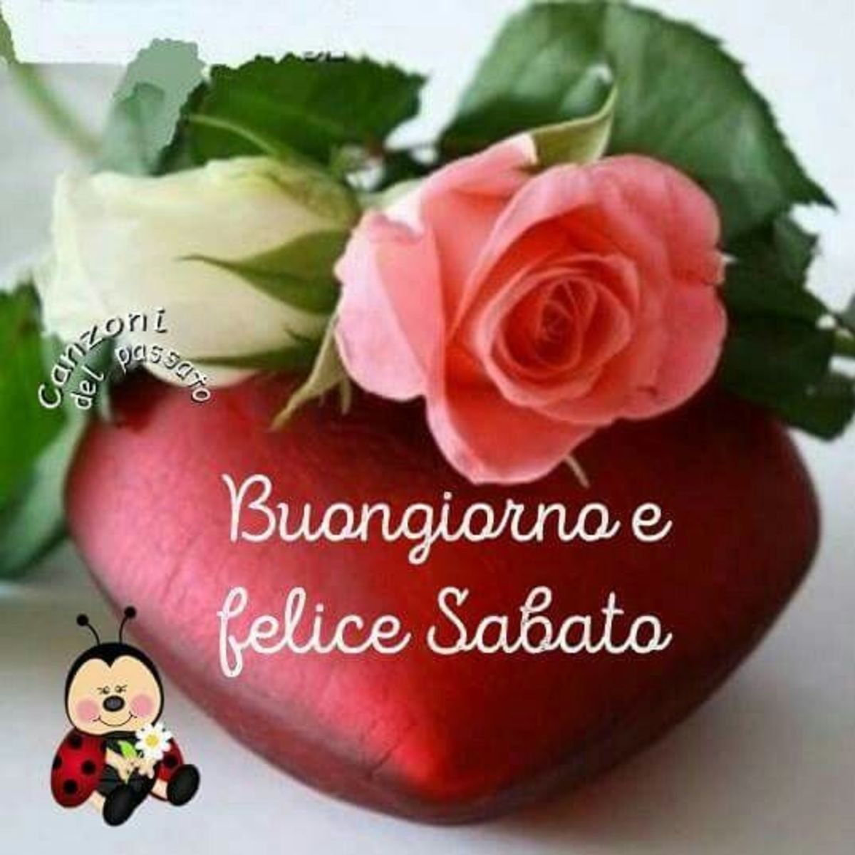 С земным днем рождения