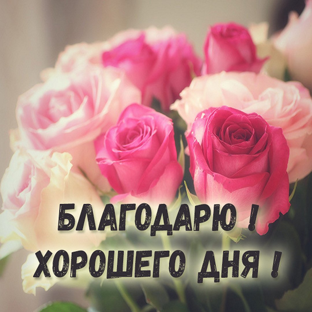 Спасибо очень приятно