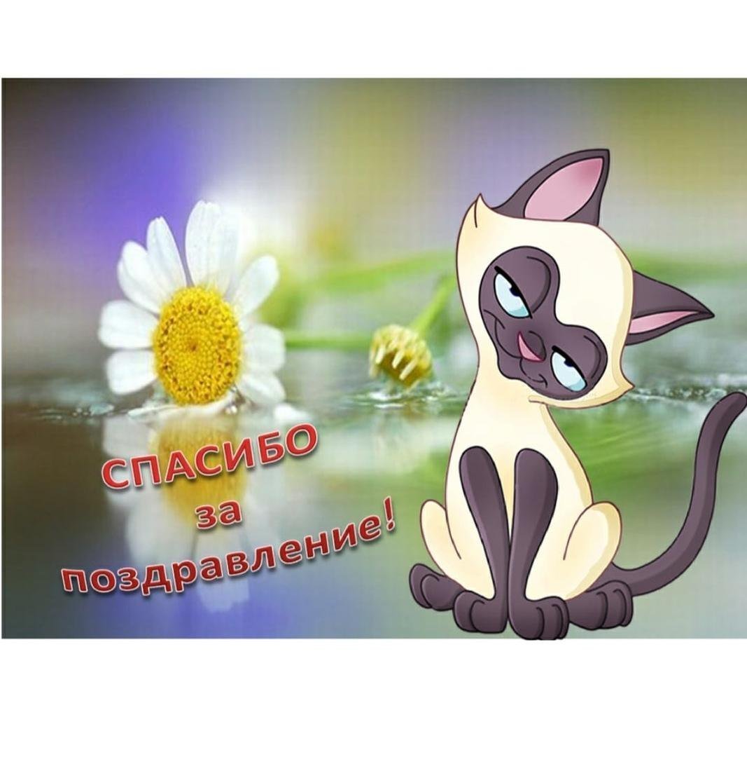 Спасибо за поздравления