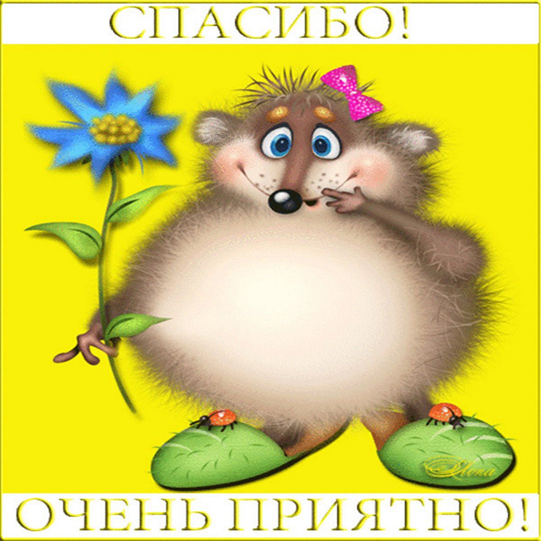 Спасибо за поздравления