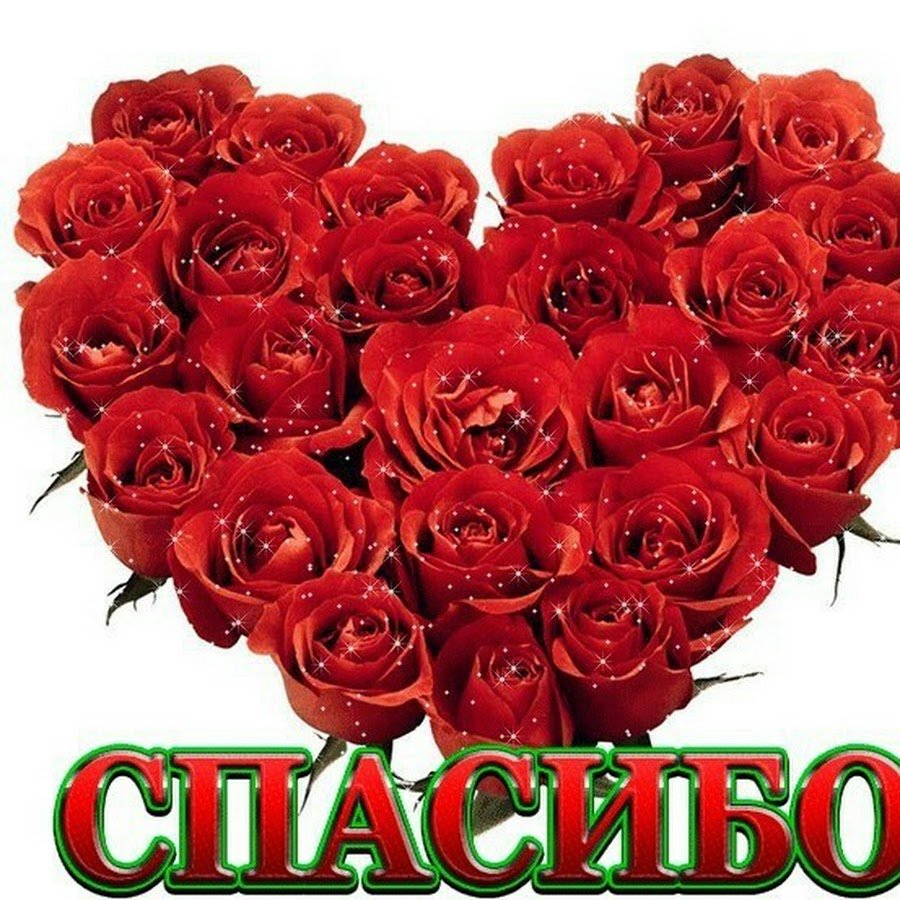 Открытка спасибо за поздравления