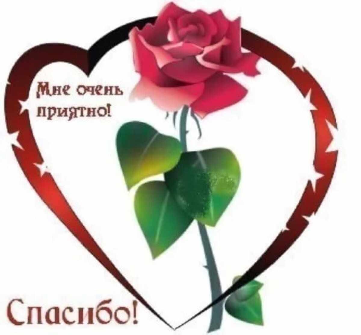 Спасибо мне очень приятно