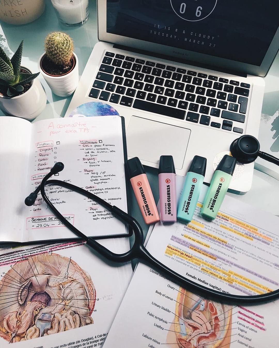 Медицина Эстетика