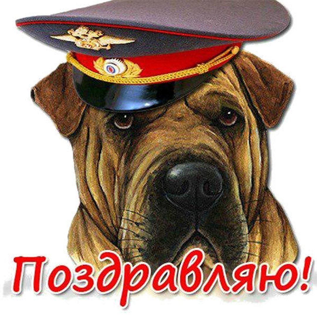 С днём полиции поздравления