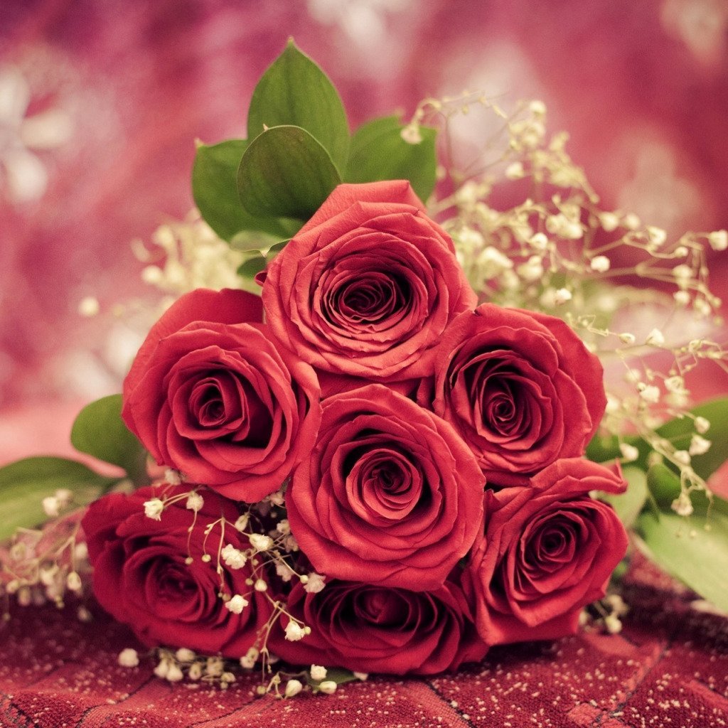 Красно розовые цветы