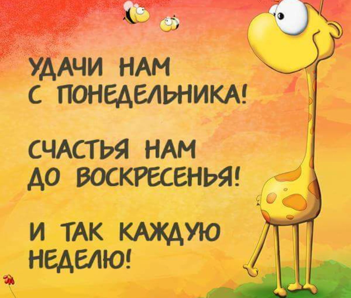 Открытки прикольные для поднятия настроения