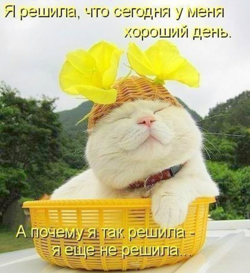 Позитивные пожелания