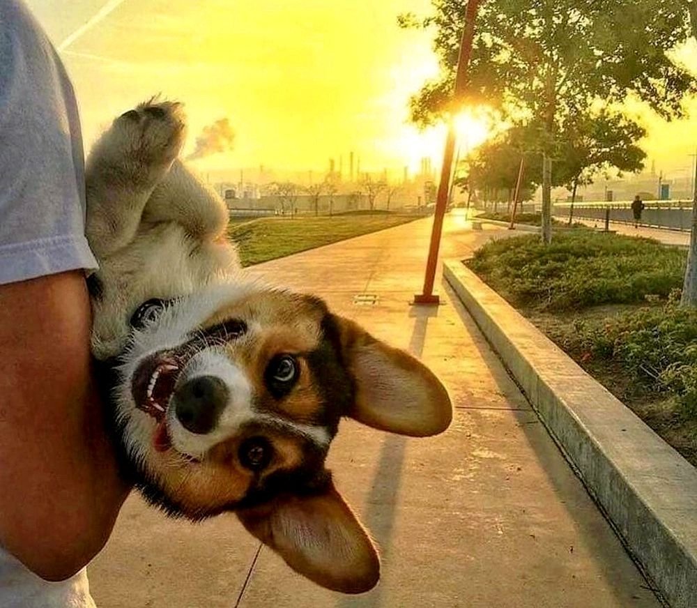 Позитивные открытки для поднятия настроения