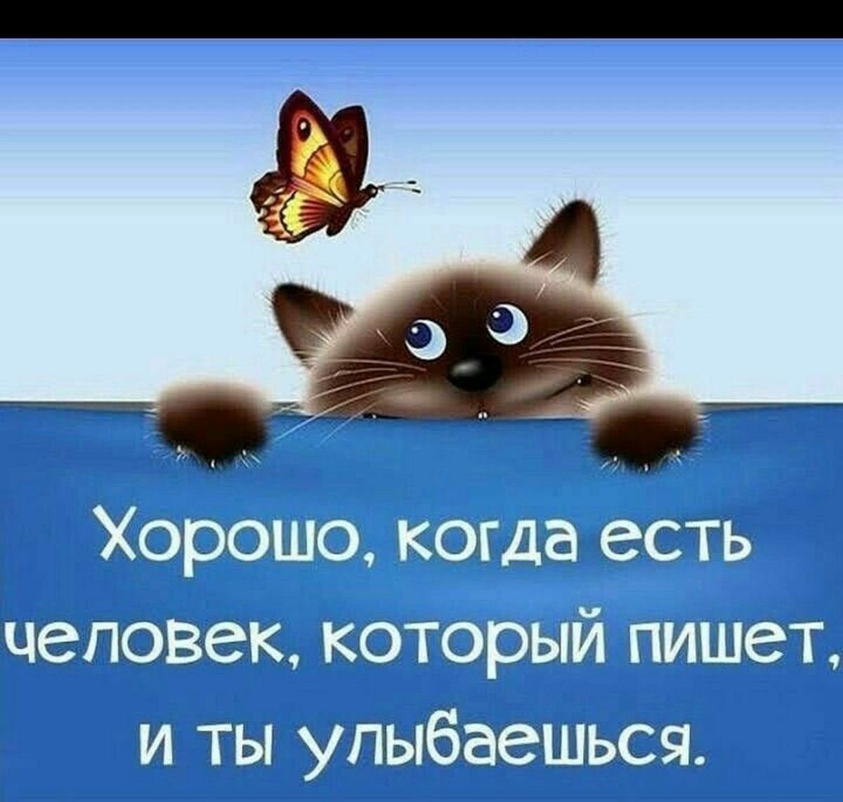 Котик умница